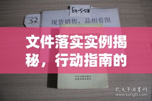 文件落實(shí)實(shí)例揭秘，行動(dòng)指南的實(shí)踐經(jīng)驗(yàn)