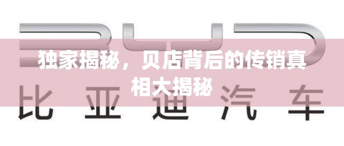 獨家揭秘，貝店背后的傳銷真相大揭秘