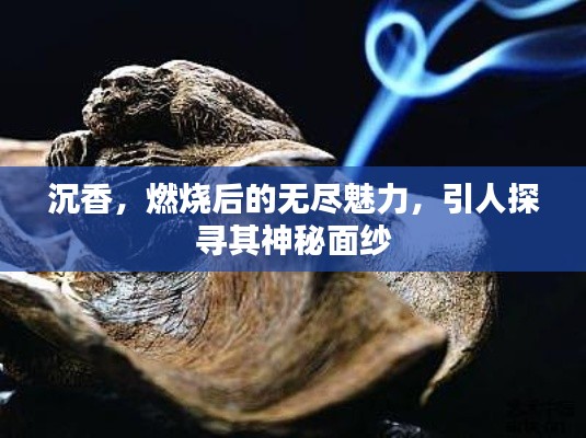 沉香，燃燒后的無(wú)盡魅力，引人探尋其神秘面紗