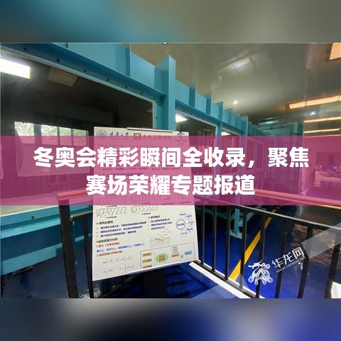 冬奧會精彩瞬間全收錄，聚焦賽場榮耀專題報道