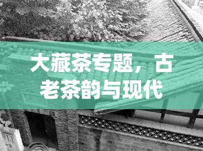 大藏茶專題，古老茶韻與現(xiàn)代風(fēng)情交相輝映