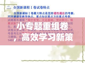 小專題重組卷，高效學(xué)習(xí)新策略助力提升學(xué)習(xí)效能