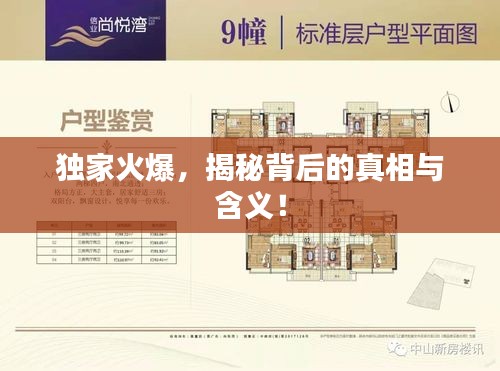 獨家火爆，揭秘背后的真相與含義！