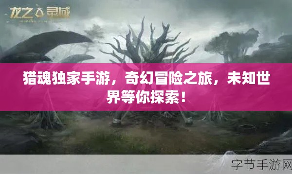 獵魂獨家手游，奇幻冒險之旅，未知世界等你探索！