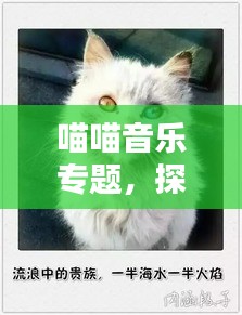 喵喵音樂專題，探索貓咪旋律的無限魅力