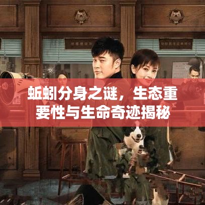 蚯蚓分身之謎，生態(tài)重要性與生命奇跡揭秘