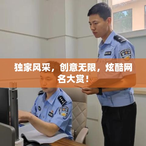 獨家風(fēng)采，創(chuàng)意無限，炫酷網(wǎng)名大賞！