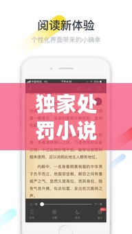獨(dú)家處罰小說免費(fèi)閱讀，獨(dú)家百度百科 
