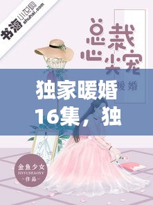 獨(dú)家暖婚16集，獨(dú)家暖寵 