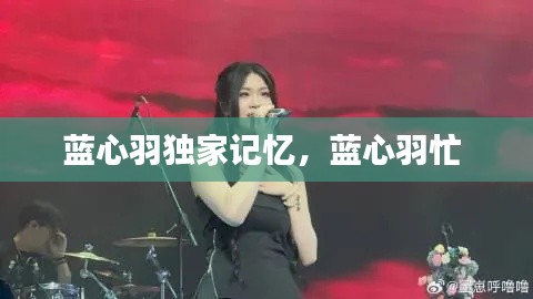 藍(lán)心羽獨(dú)家記憶，藍(lán)心羽忙 