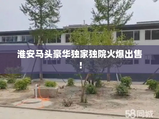 淮安馬頭豪華獨家獨院火爆出售！