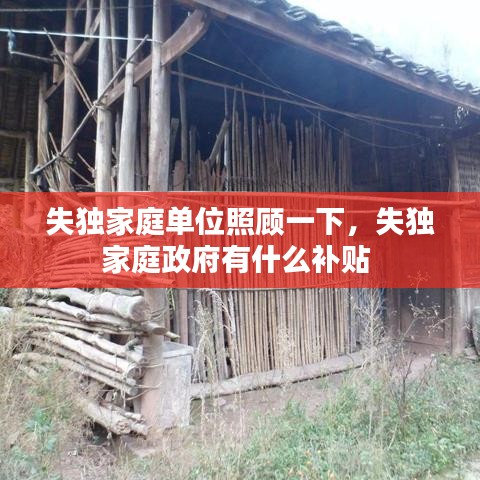 失獨(dú)家庭單位照顧一下，失獨(dú)家庭政府有什么補(bǔ)貼 