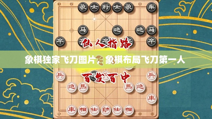 象棋獨(dú)家飛刀圖片，象棋布局飛刀第一人 