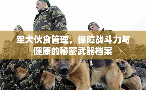 軍犬伙食管理，保障戰(zhàn)斗力與健康的秘密武器檔案