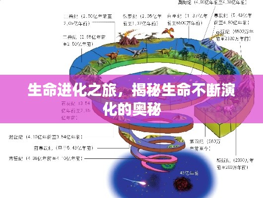 生命進(jìn)化之旅，揭秘生命不斷演化的奧秘