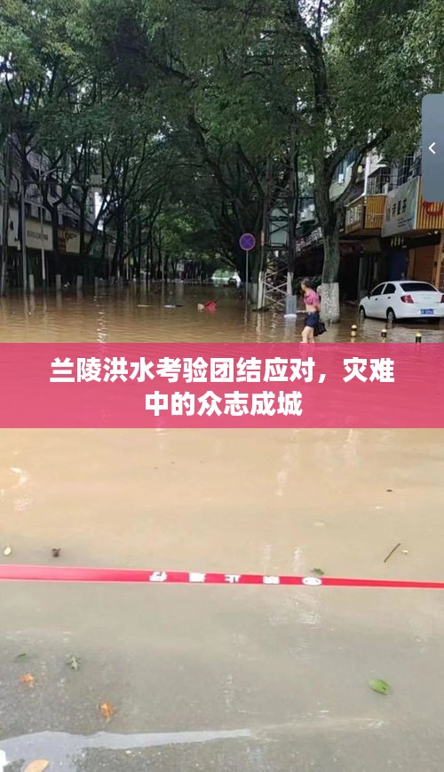 蘭陵洪水考驗團結(jié)應(yīng)對，災(zāi)難中的眾志成城