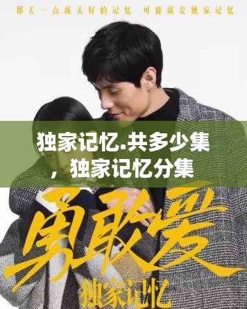 獨(dú)家記憶.共多少集，獨(dú)家記憶分集 