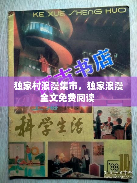 獨(dú)家村浪漫集市，獨(dú)家浪漫全文免費(fèi)閱讀 