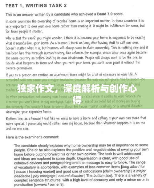 獨(dú)家作文，深度解析與創(chuàng)作心得