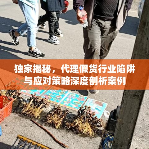 獨家揭秘，代理假貨行業(yè)陷阱與應對策略深度剖析案例