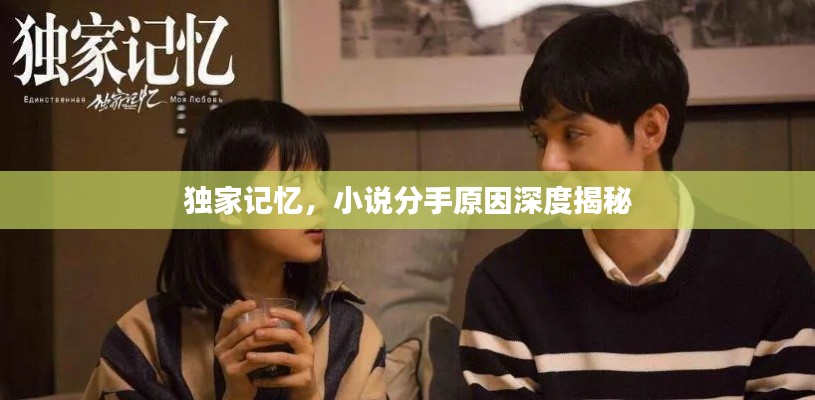 獨(dú)家記憶，小說分手原因深度揭秘