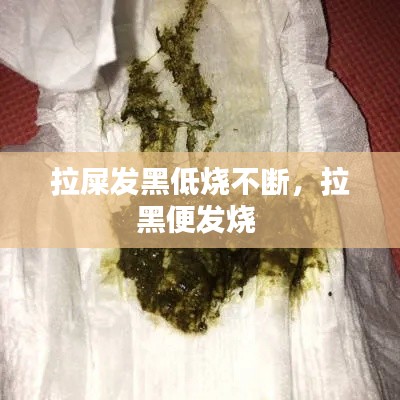 拉屎發(fā)黑低燒不斷，拉黑便發(fā)燒 