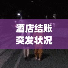 酒店結(jié)賬突發(fā)狀況處理指南，如何應(yīng)對(duì)突發(fā)事件？