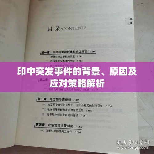 印中突發(fā)事件的背景、原因及應(yīng)對策略解析