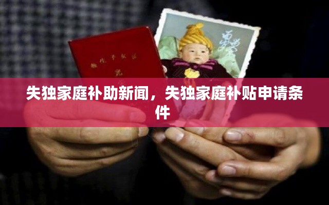 失獨家庭補助新聞，失獨家庭補貼申請條件 
