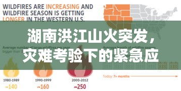 湖南洪江山火突發(fā)，災(zāi)難考驗(yàn)下的緊急應(yīng)對(duì)與社會(huì)反思挑戰(zhàn)