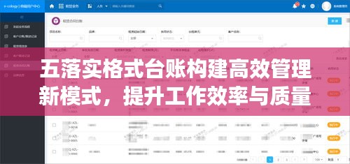 五落實格式臺賬構(gòu)建高效管理新模式，提升工作效率與質(zhì)量