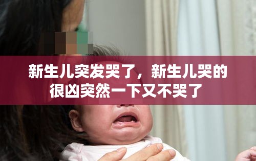 新生兒突發(fā)哭了，新生兒哭的很兇突然一下又不哭了 