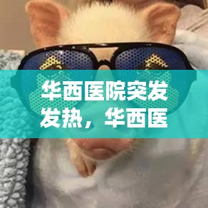華西醫(yī)院突發(fā)發(fā)熱，華西醫(yī)院發(fā)熱門診電話 
