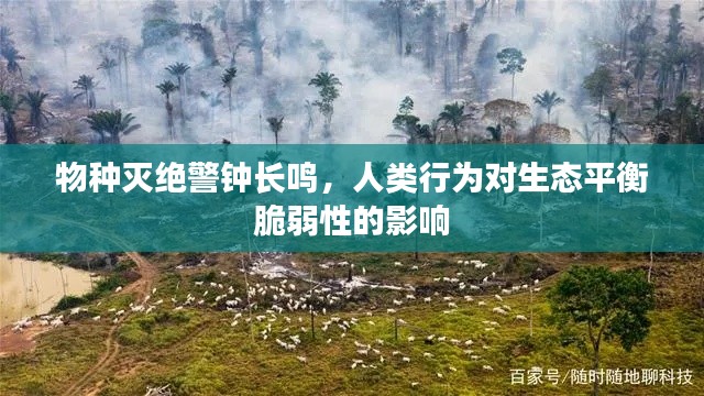 物種滅絕警鐘長(zhǎng)鳴，人類行為對(duì)生態(tài)平衡脆弱性的影響