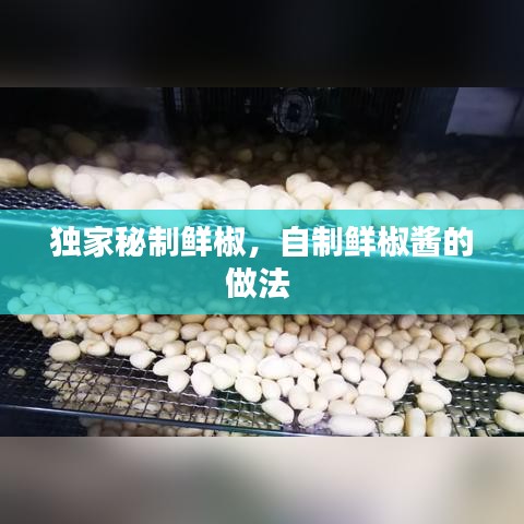 獨家秘制鮮椒，自制鮮椒醬的做法 