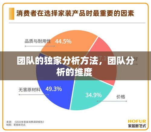 團隊的獨家分析方法，團隊分析的維度 