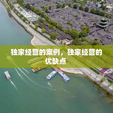 獨家經(jīng)營的案例，獨家經(jīng)營的優(yōu)缺點 