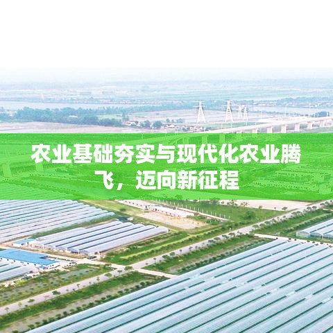 農(nóng)業(yè)基礎(chǔ)夯實(shí)與現(xiàn)代化農(nóng)業(yè)騰飛，邁向新征程