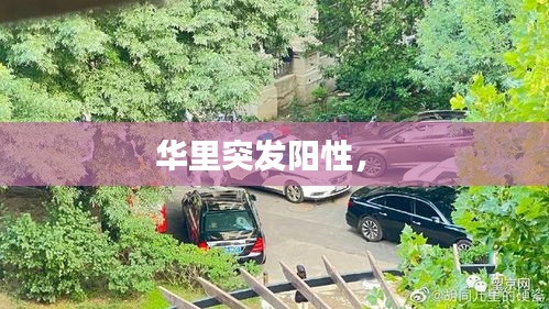 華里突發(fā)陽(yáng)性， 