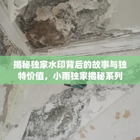 揭秘獨家水印背后的故事與獨特價值，小雨獨家揭秘系列