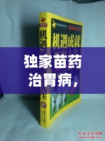 獨家苗藥治胃病，古老智慧綻放現(xiàn)代光芒
