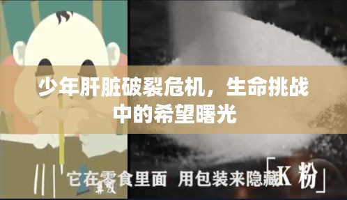 發(fā)奮圖強(qiáng) 第2頁(yè)