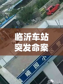 臨沂車站突發(fā)命案揭秘，真相報道與分析