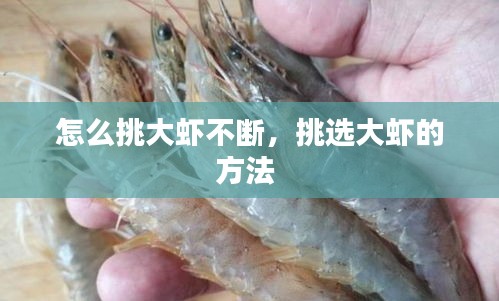 怎么挑大蝦不斷，挑選大蝦的方法 