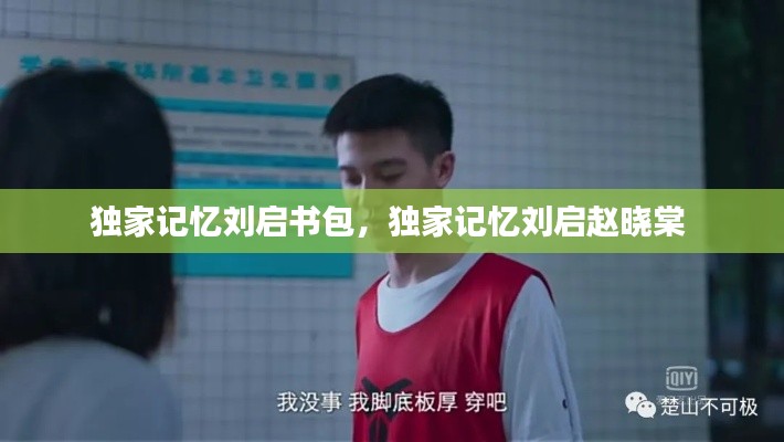 獨家記憶劉啟書包，獨家記憶劉啟趙曉棠 