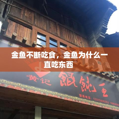 飛墻走壁 第2頁