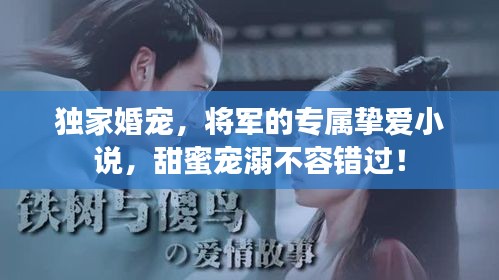 獨家婚寵，將軍的專屬摯愛小說，甜蜜寵溺不容錯過！