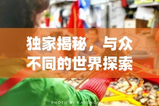 獨家揭秘，與眾不同的世界探索之旅