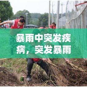 暴雨中突發(fā)疾病，突發(fā)暴雨如何自救 