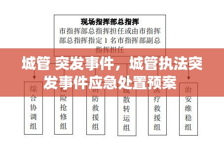 城管 突發(fā)事件，城管執(zhí)法突發(fā)事件應(yīng)急處置預案 